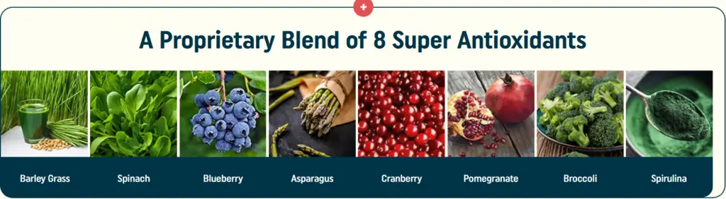 Nagano Tonic Reviews 4 Super Antioxidants 2
