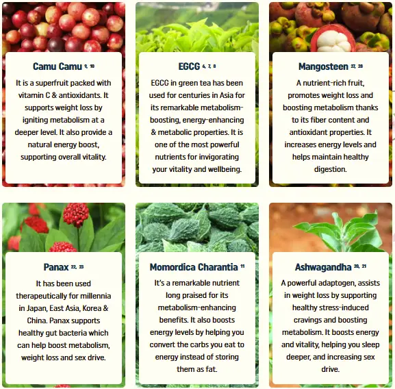 Nagano Tonic Reviews 3 Ingredients